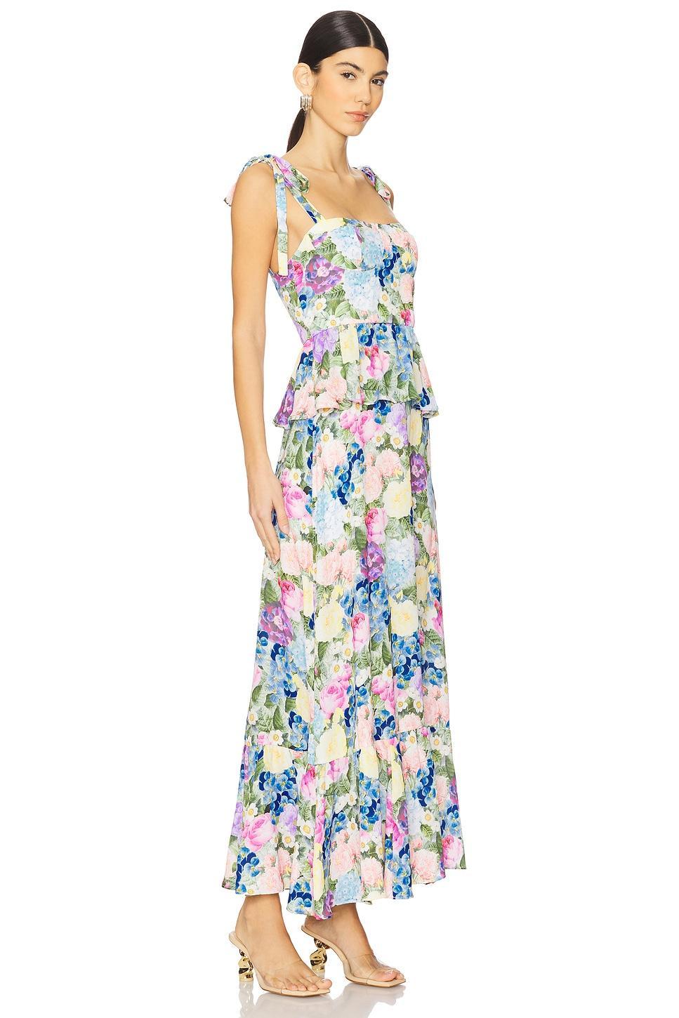 Paxton Dress Show Me Your Mumu Product Image