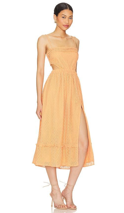 Lacy Midi Dress Camila Coelho Product Image