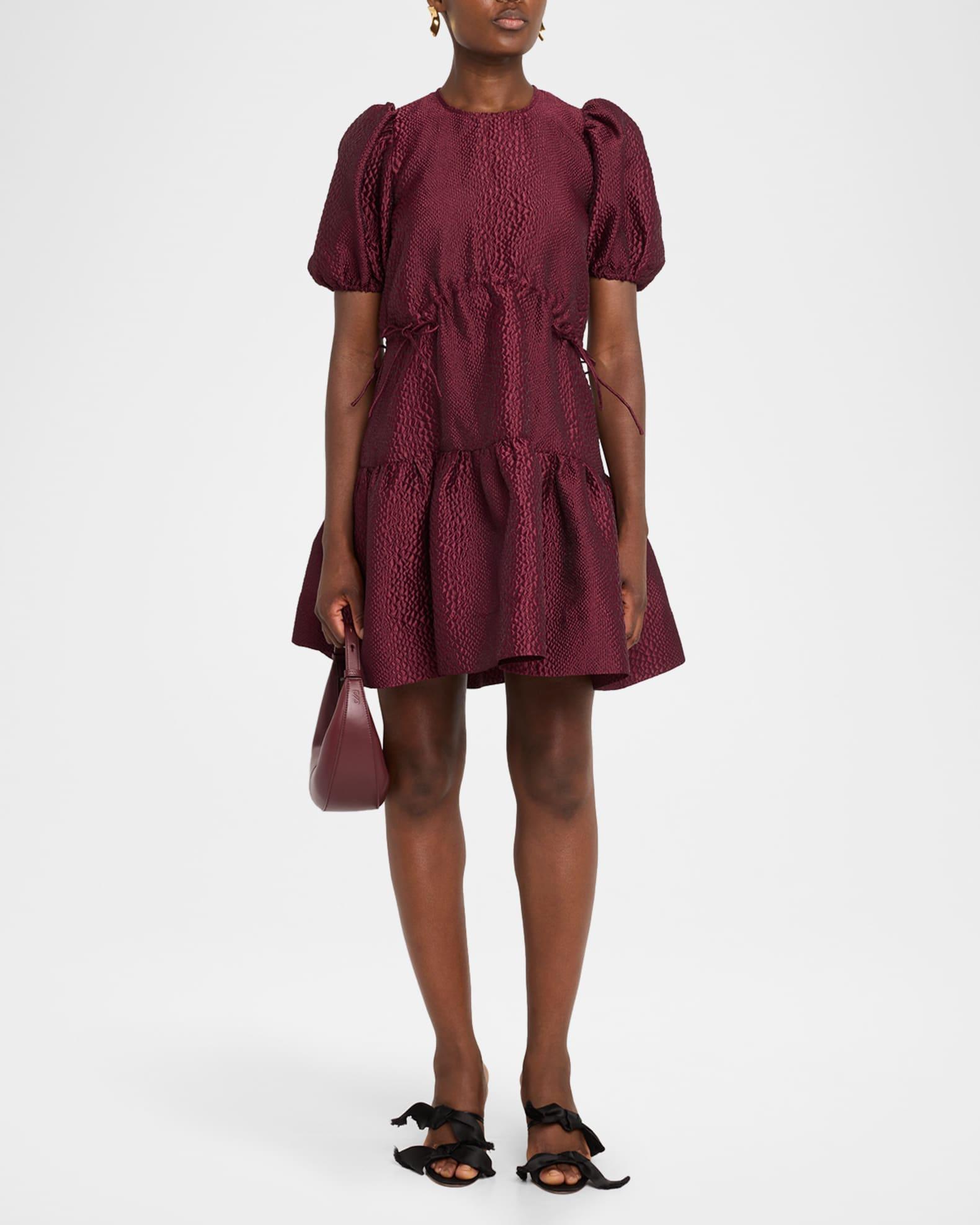 Fayetta Embossed Puff-Sleeve Mini Dress Product Image
