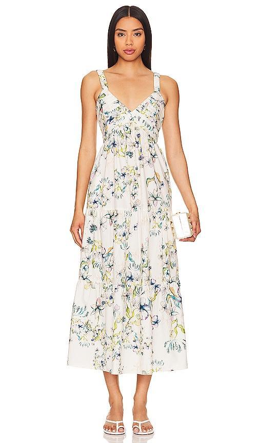 Eliora Dress Steve Madden Product Image