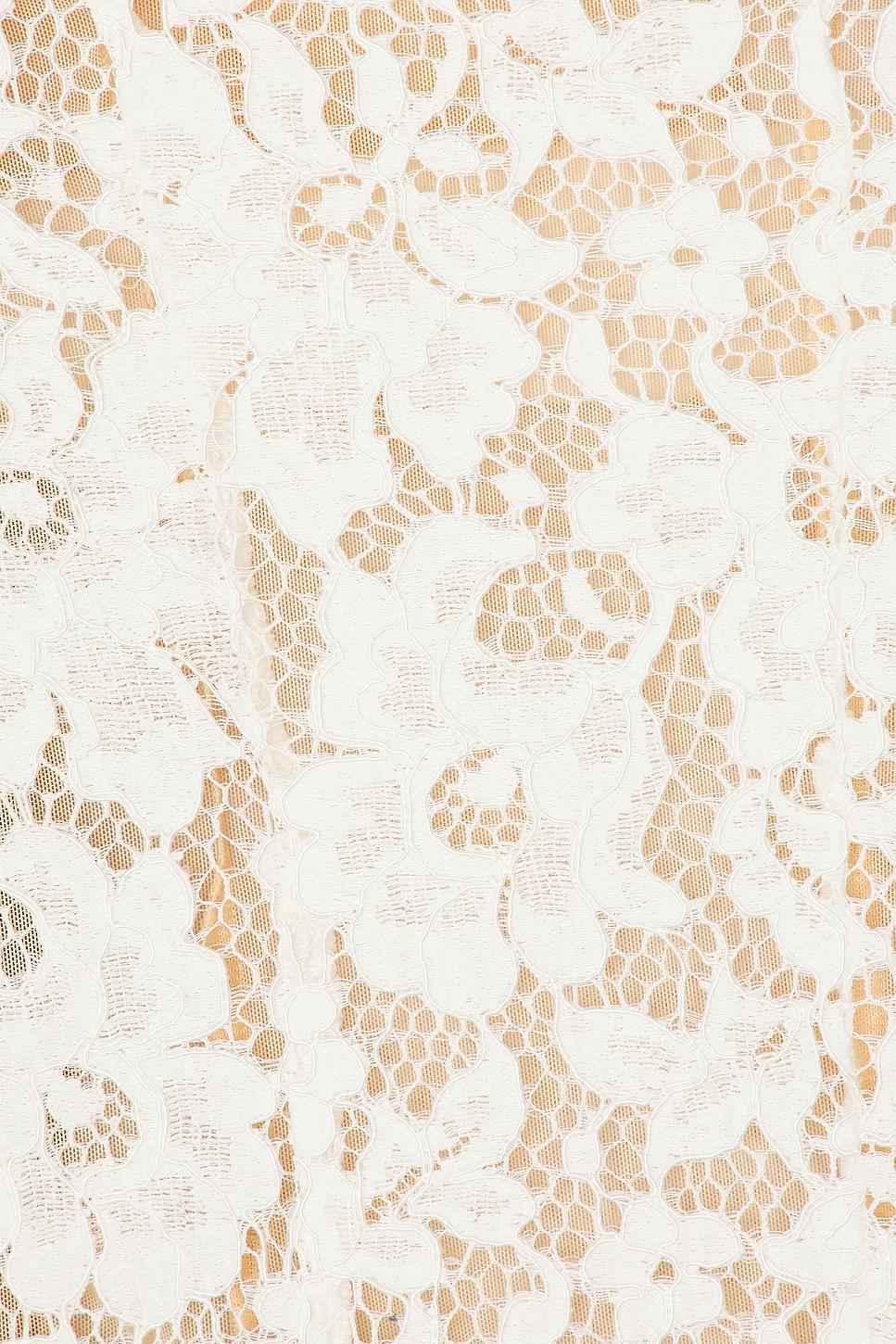Sophia Lace Mini Dress Product Image