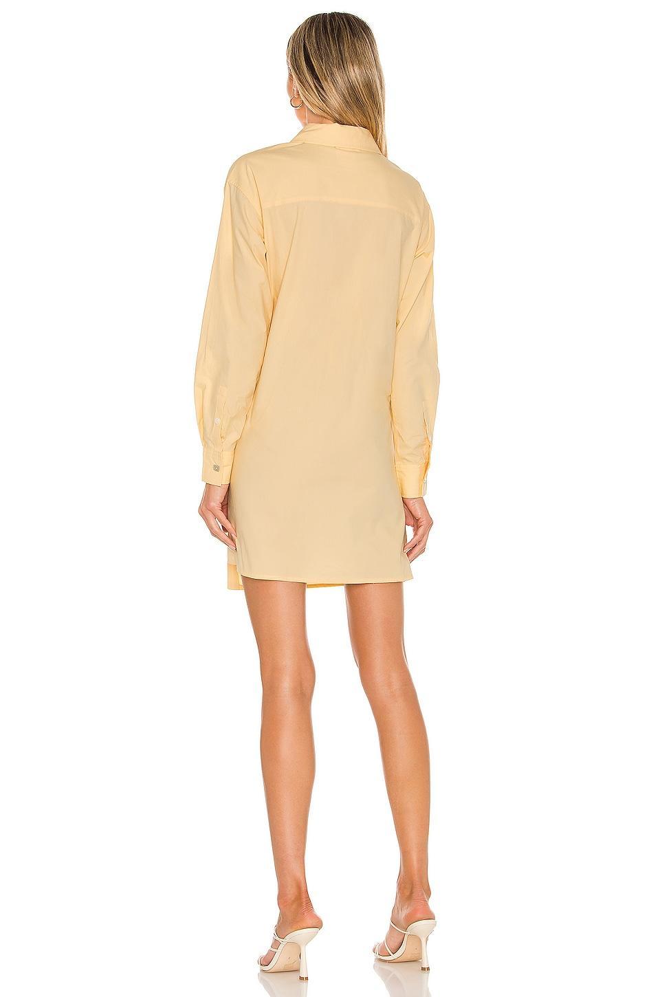 Kaia Mini Dress Product Image