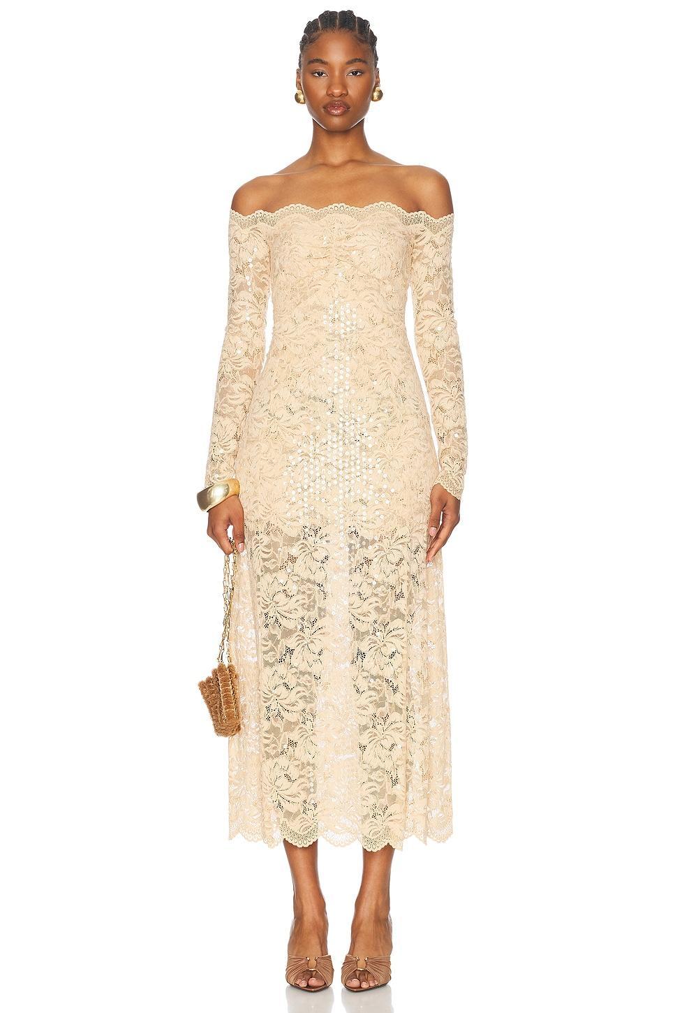 Stretch Lace Maxi Dress Product Image