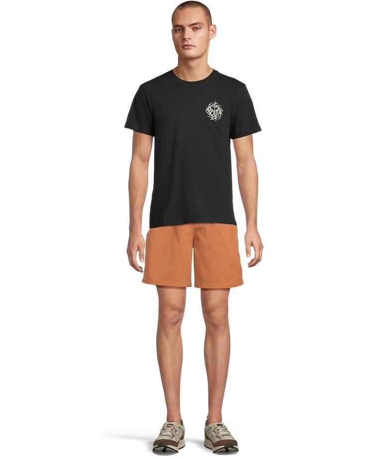 Stretch Zion Shorts Product Image