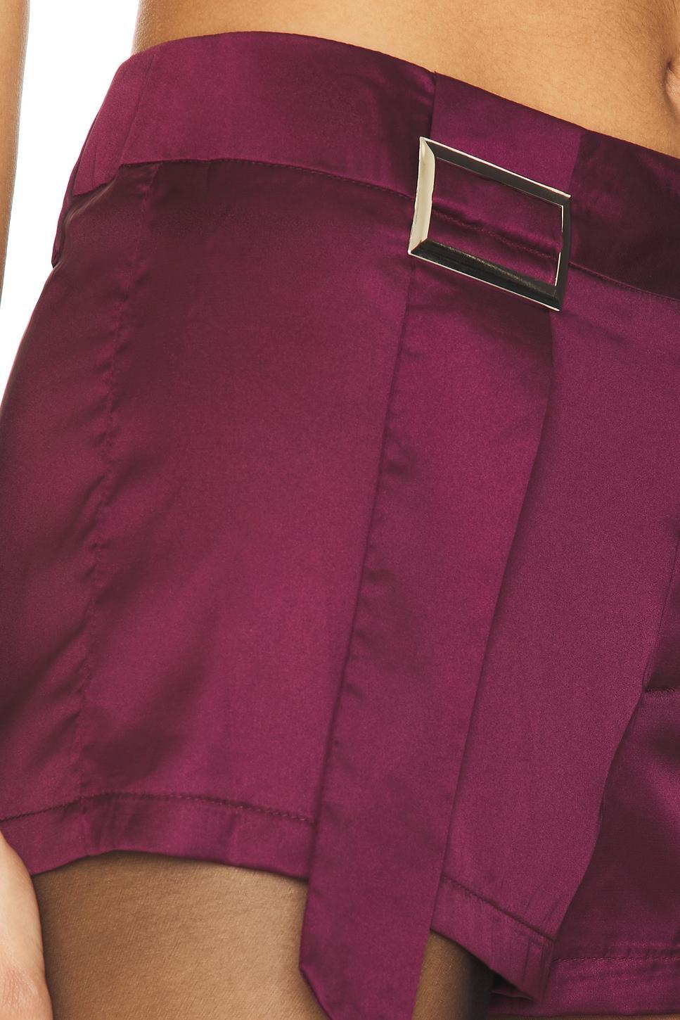Rosie Micro Shorts BY.DYLN Product Image