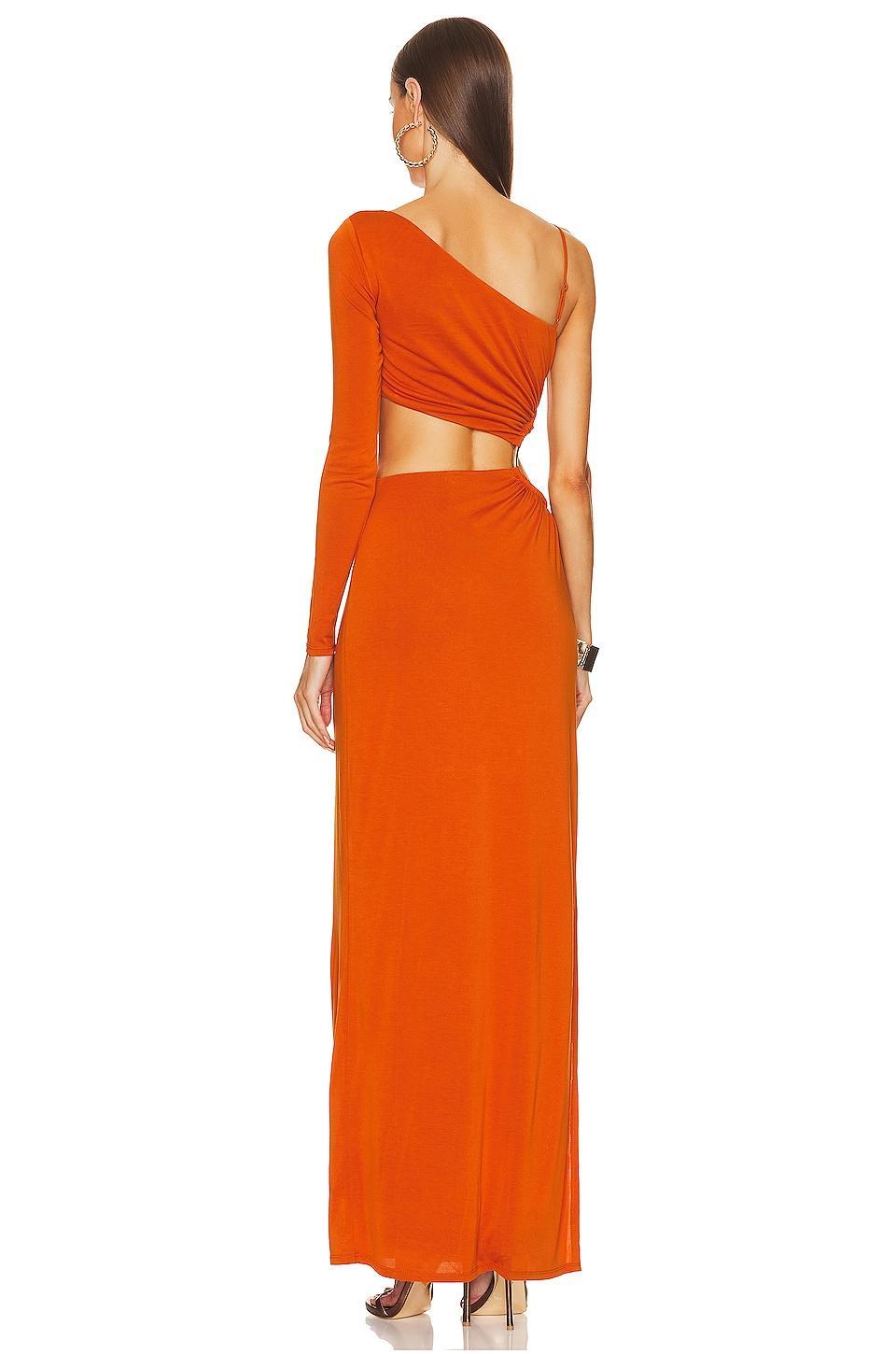 x REVOLVE Jocelyn Maxi Dress Camila Coelho Product Image