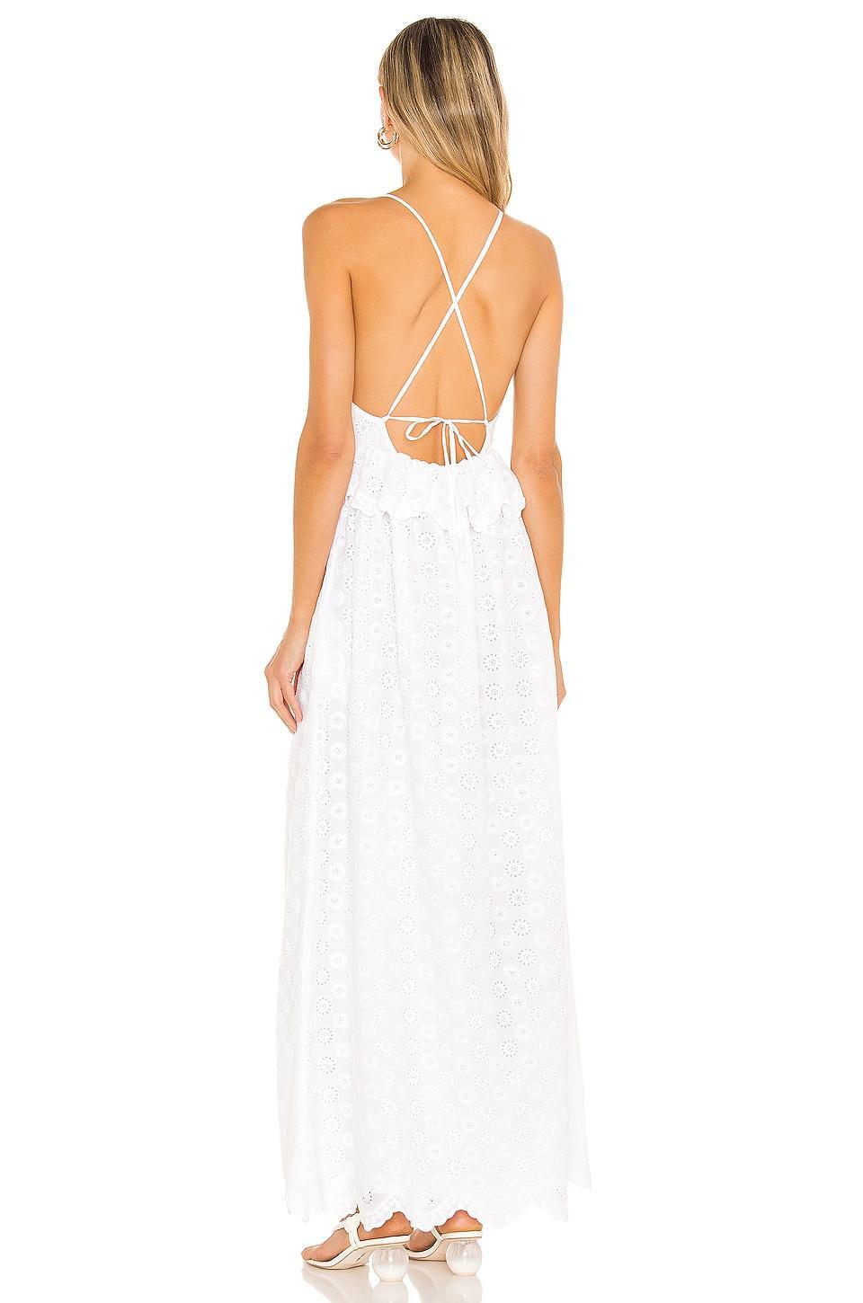Brier Embroidered Dress Tularosa Product Image