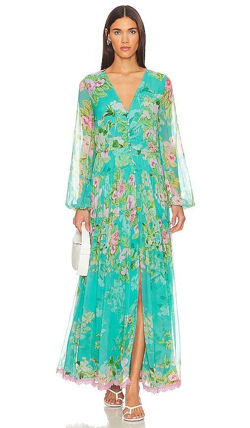 Azra Maxi Dress HEMANT AND NANDITA Product Image