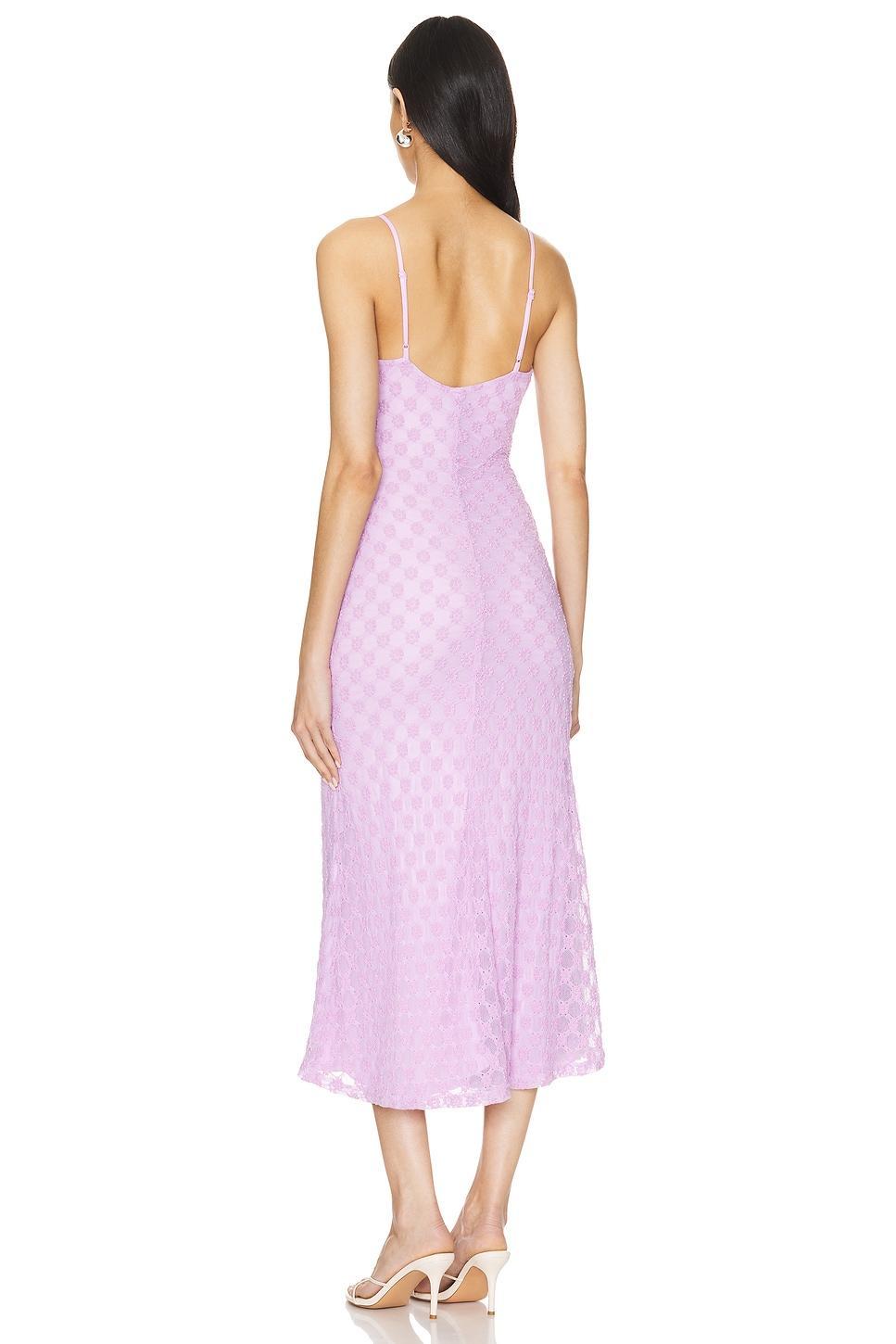 Adoni Mesh Midi Dress Product Image