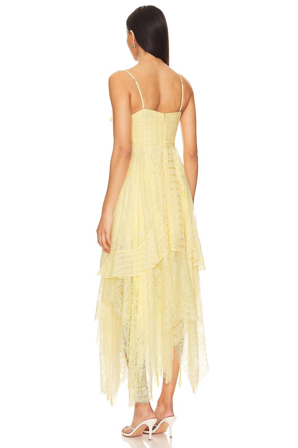 Sheer Bliss Maxi Dress In Anise Flower Free People Product Image