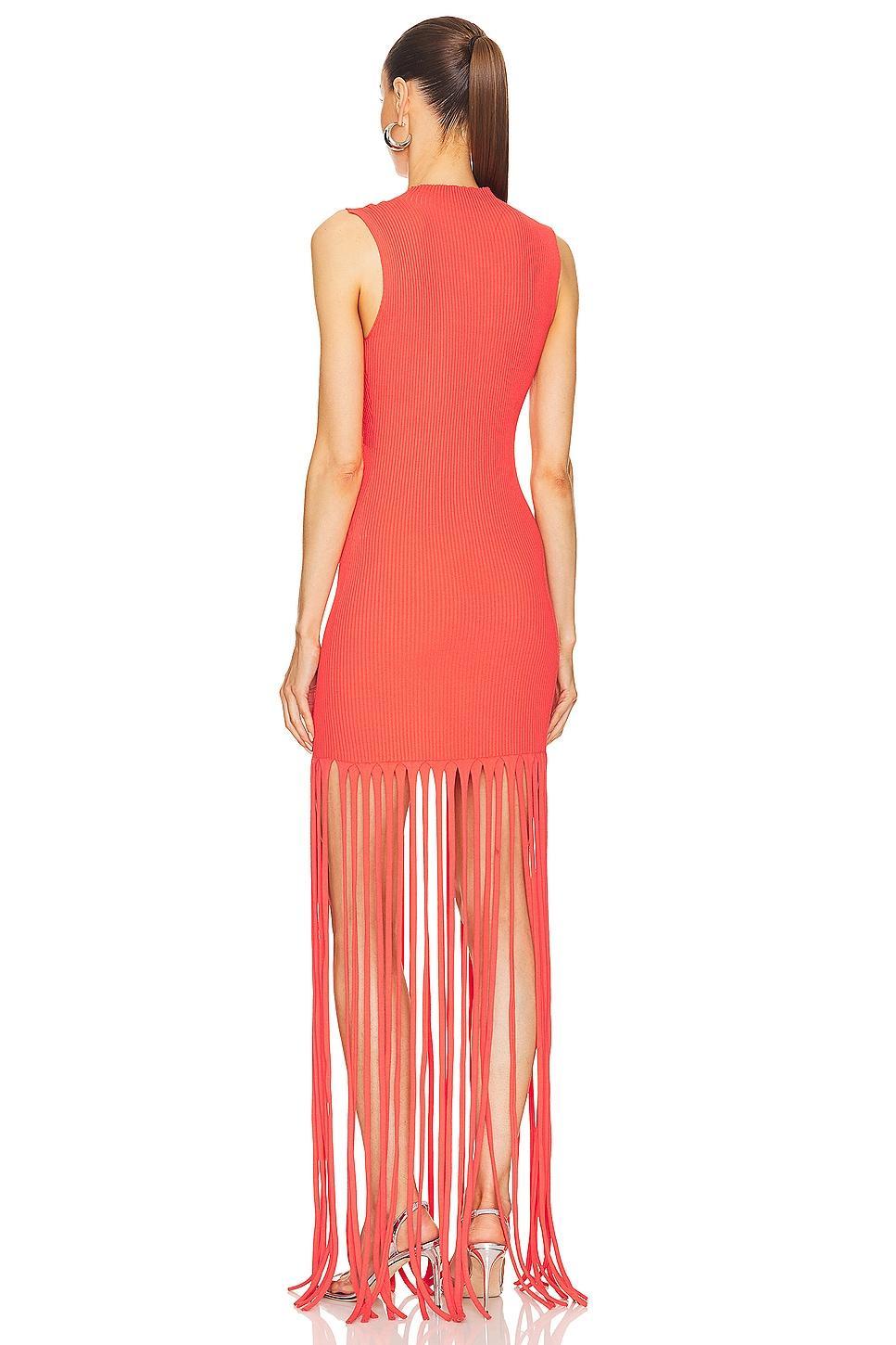 Fringe Dress Product Image