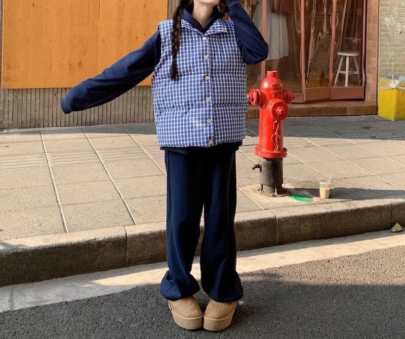 Paid Button-Up Puffer Vest Product Image