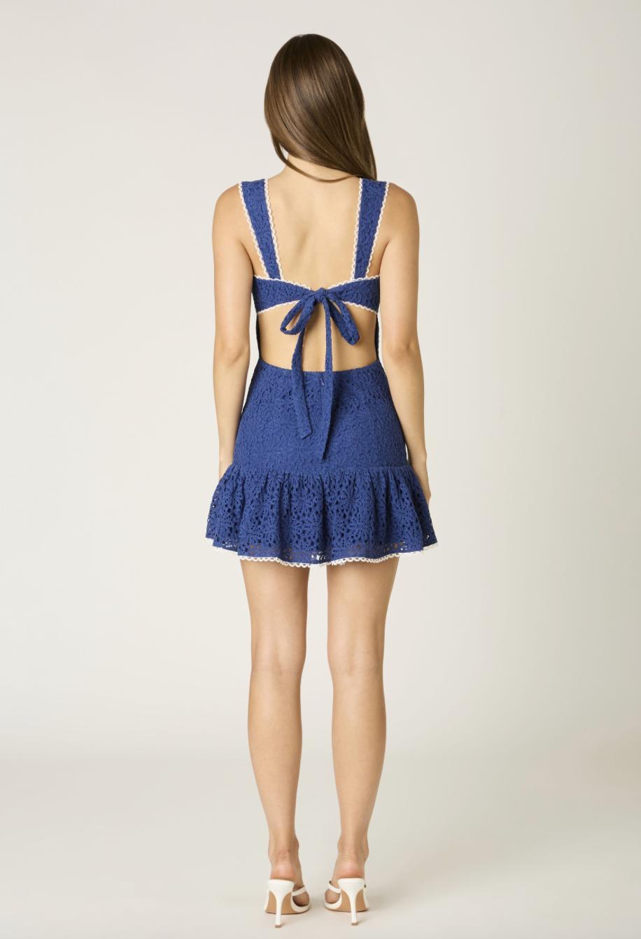 Mary Mini Dress Product Image
