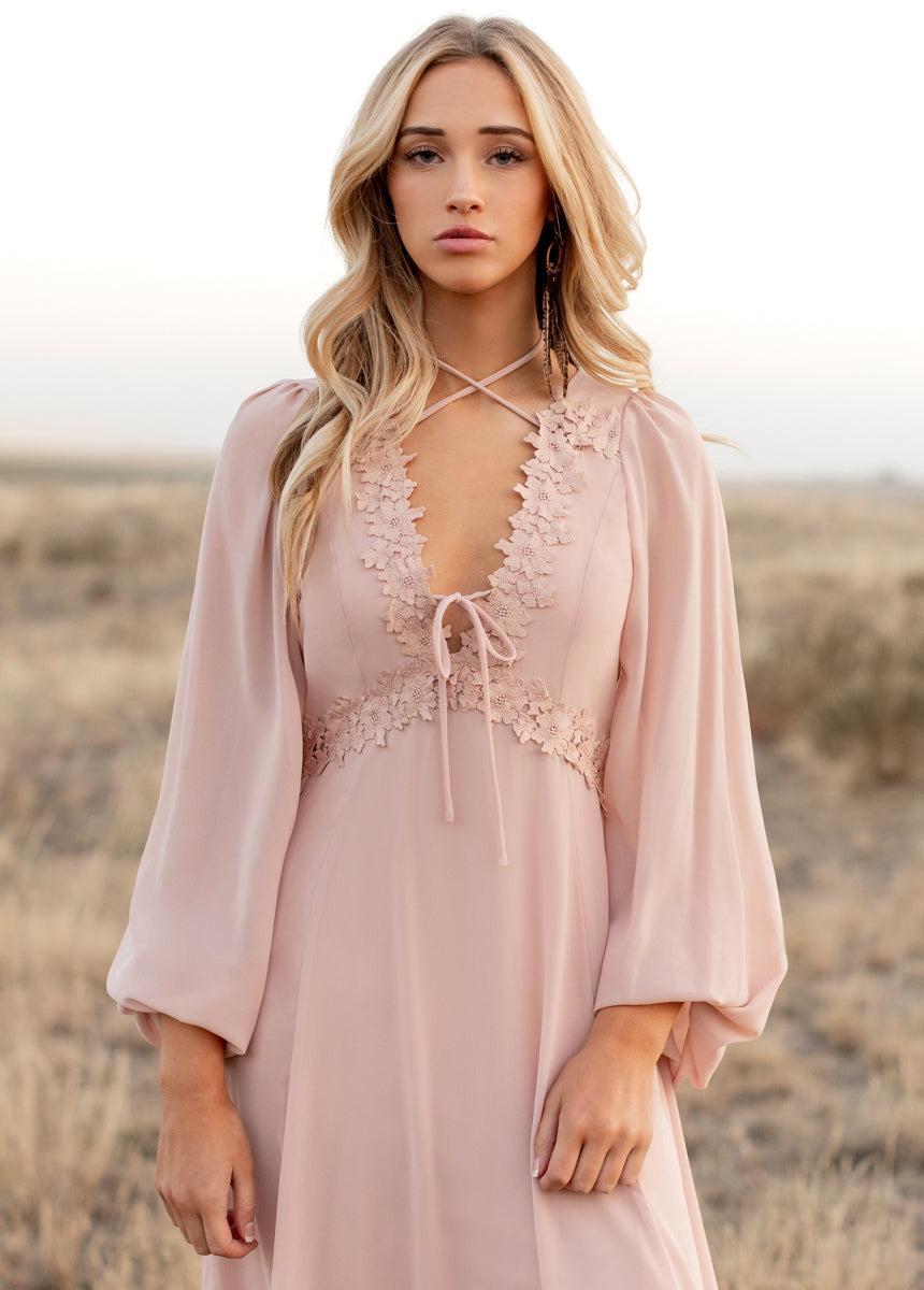 Niobe Dress in Blush Female Product Image