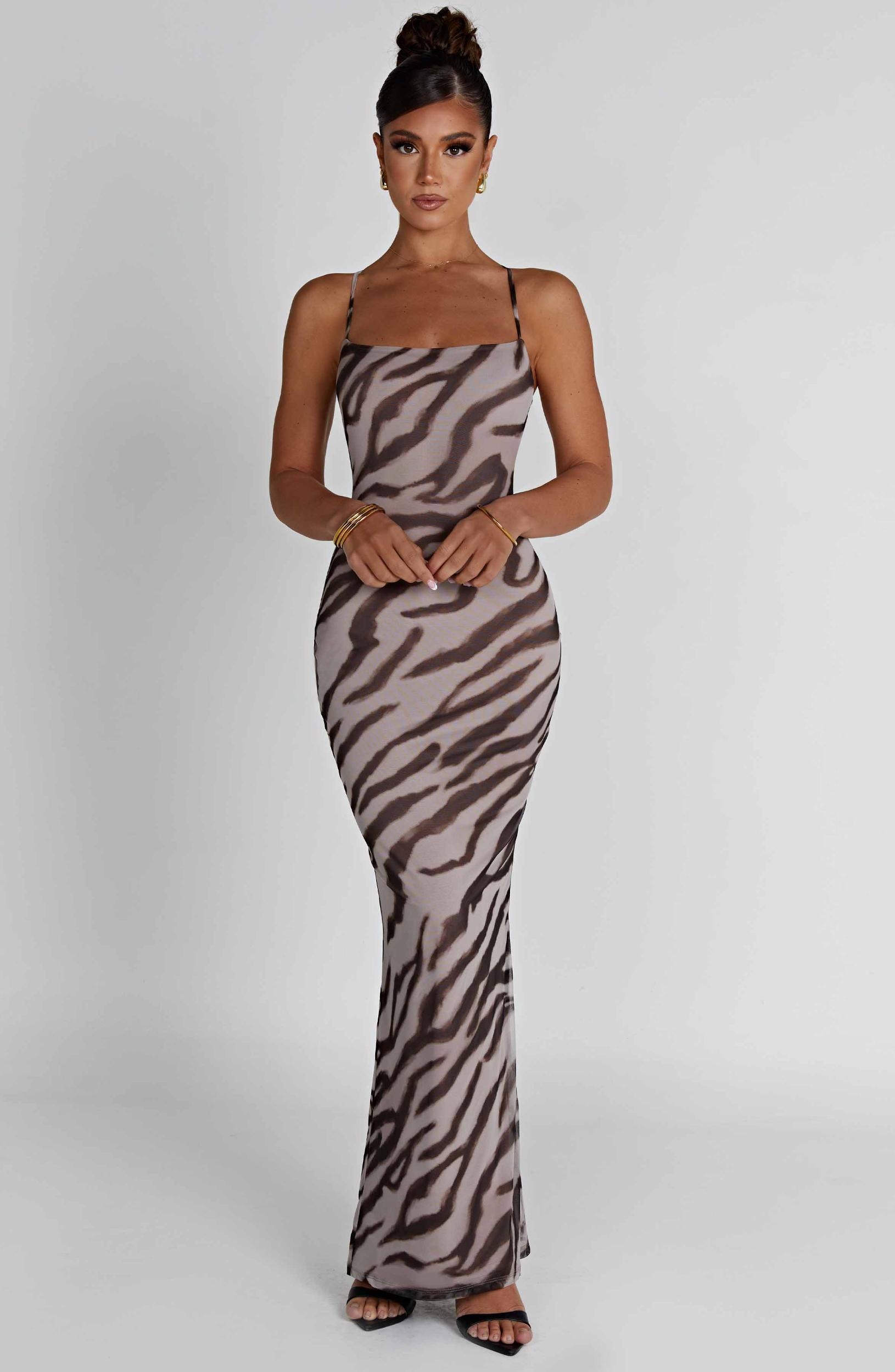 Nessa Maxi Dress - Zebra Print Product Image