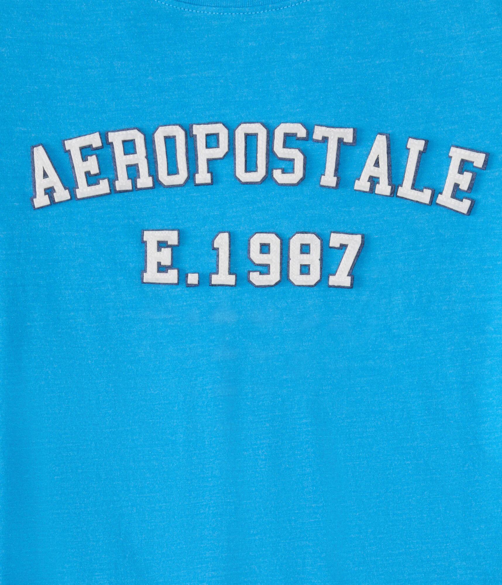 Aeropostale Logo Appliqué Graphic Tee Product Image