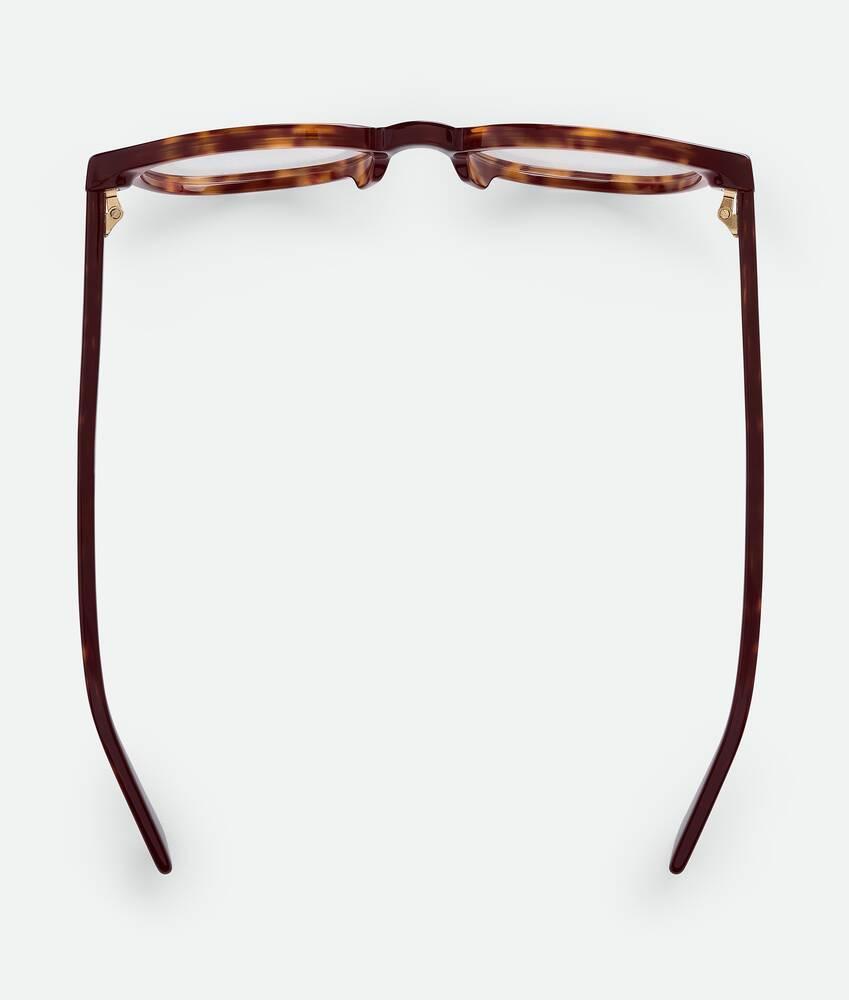 Classic Panthos Eyeglasses in Havana/transparent Product Image