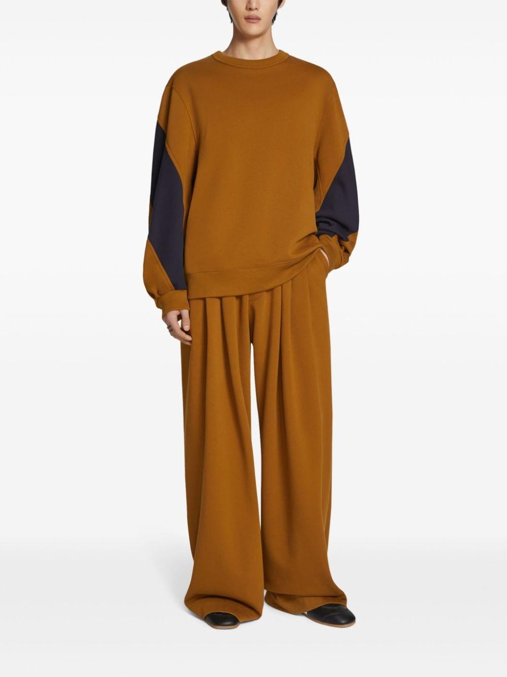 DRIES VAN NOTEN Loose-fit Sweatshirt In Beige Product Image