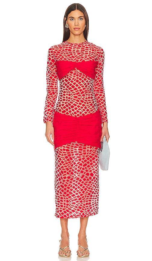 Transparent Mini Dress SELMACILEK Product Image
