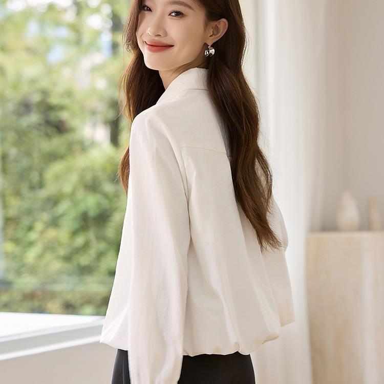 Long-Sleeve Plain Crop Shirt Product Image