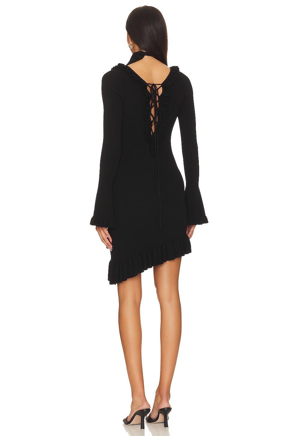Stevie Mini Dress For Love & Lemons Product Image