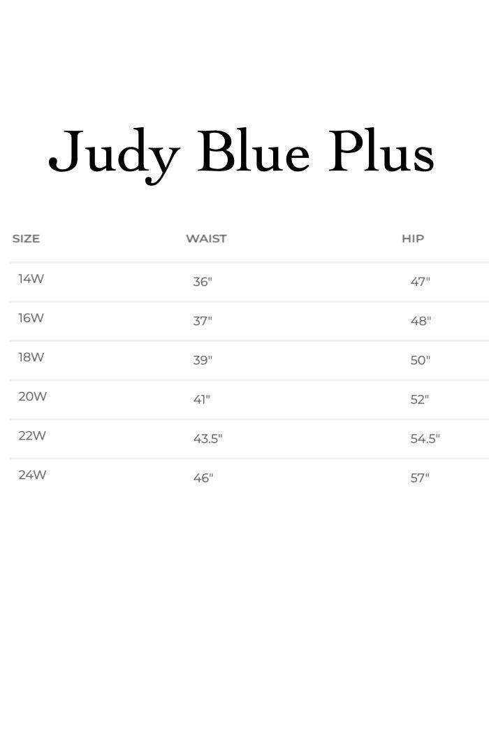 Vintage Wash Boyfriend Curvy Product Image