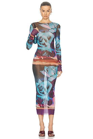 Roses Mesh Long Sleeve Dress Product Image