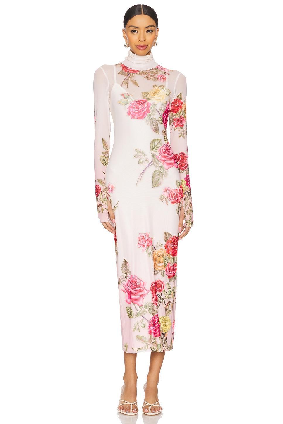 Shailene Mesh Dress AFRM Product Image