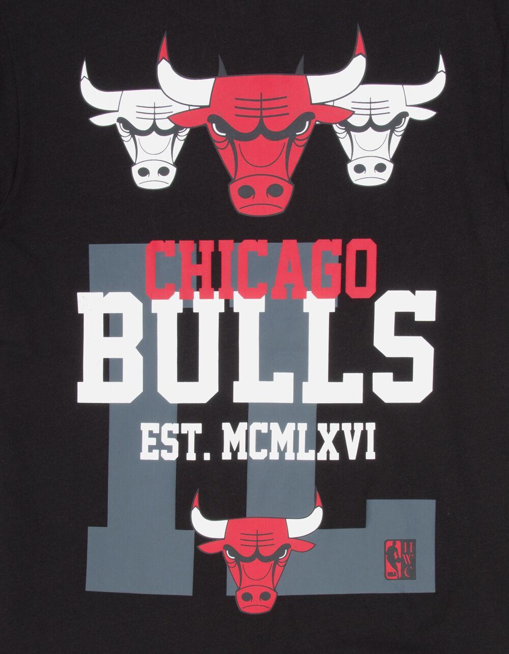 MITCHELL & NESS Chicago Bulls Home Team Mens Tee Product Image