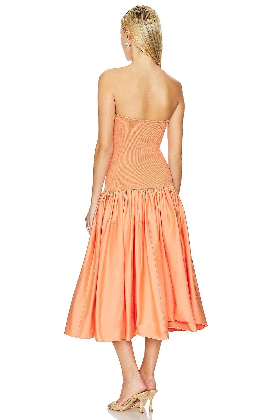 Kamali Dress Alexis Product Image