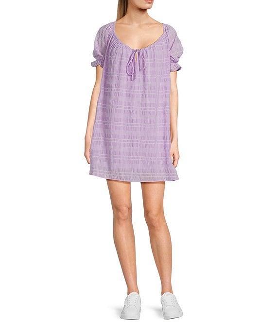 Sadie & Sage Sheer Textured Drawstring Scoop Neck Short Ruffle Sleeve Dress Product Image