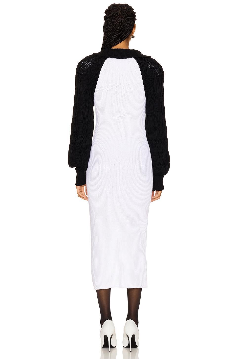 Turtleneck Raglan Knit Dress Rowen Rose Product Image
