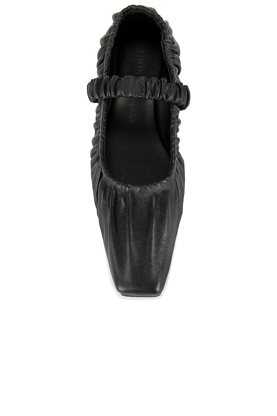 Zadie Ballet Flat Studio Amelia Product Image