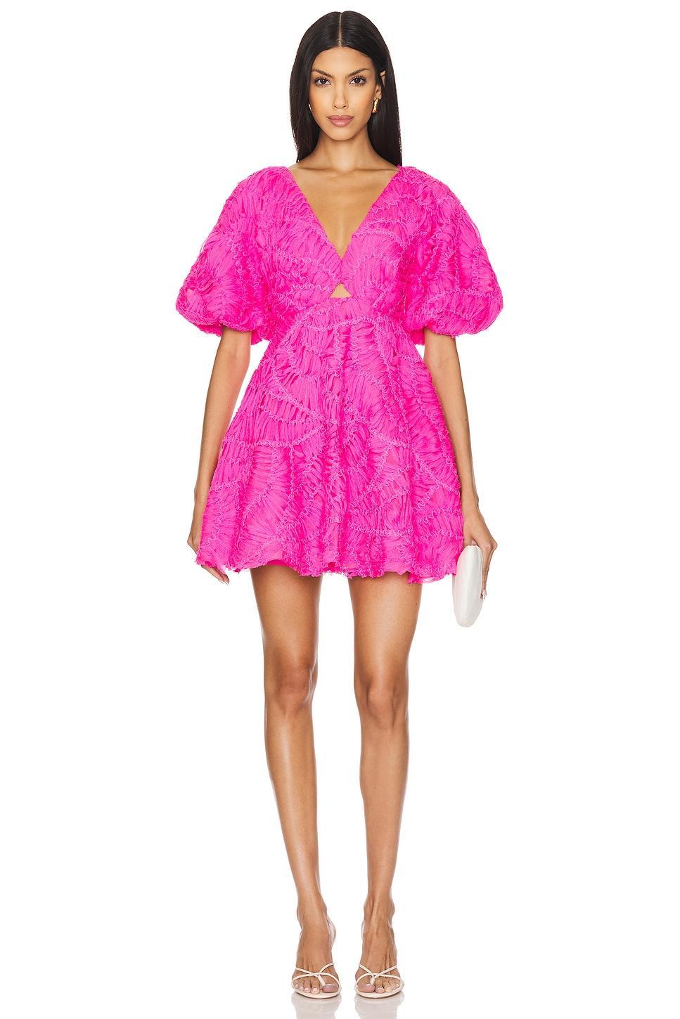 Florential Mini Swing Dress Aje Product Image