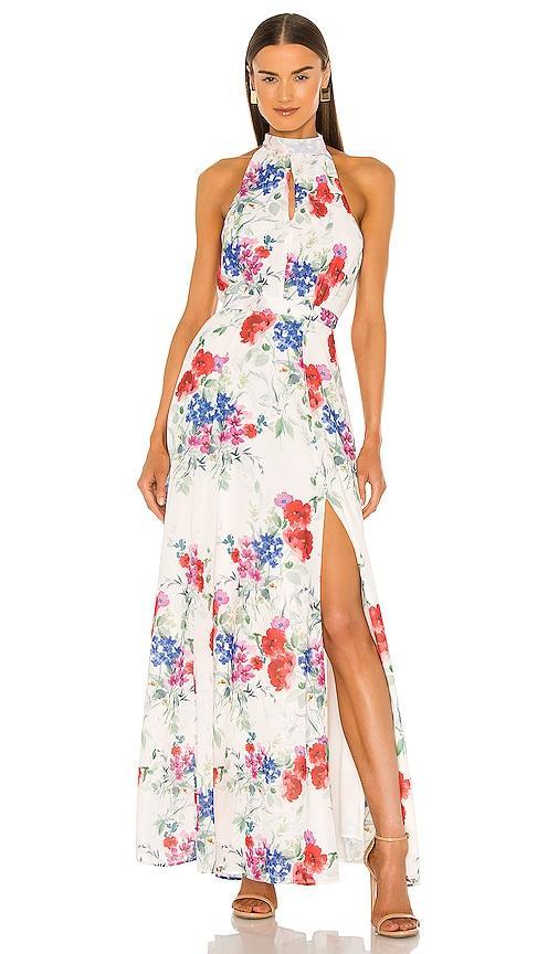 High Demand Maxi Dress Product Image