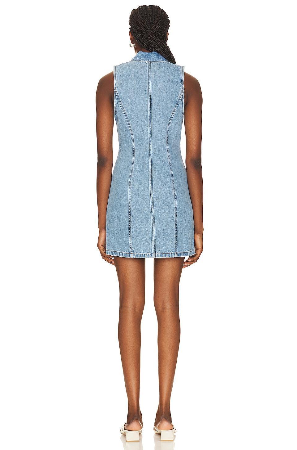Selena Sleeveless Mini Dress GRLFRND Product Image