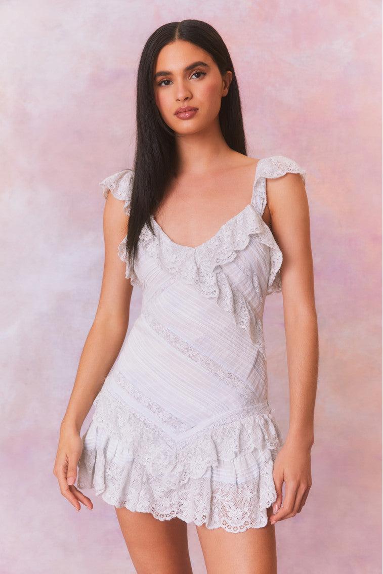 Bensley Fitted Lace Mini Dress Product Image