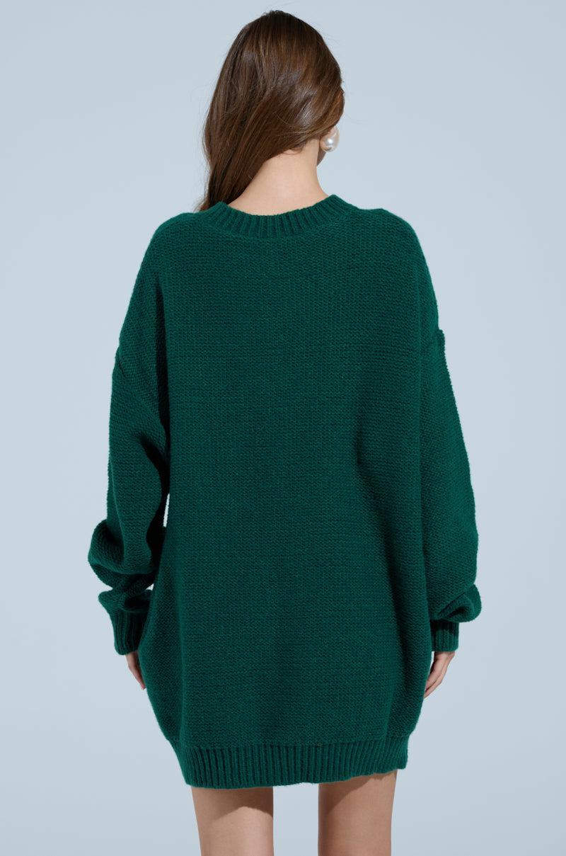 TOO PRETTY PRINTED SWEATER DRESS Product Image