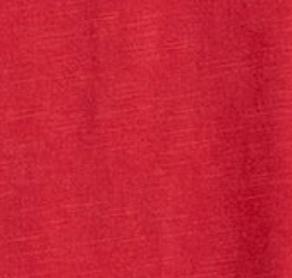 Arkansas Coastal Wash Original Polo - Vault Logo Male Product Image