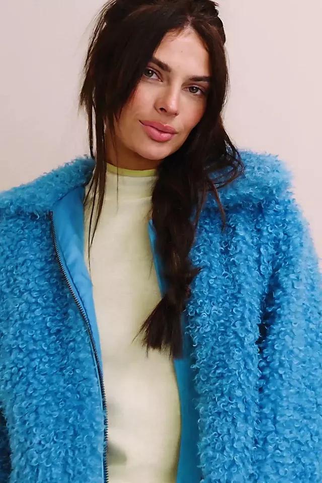 Cool & Cozy Teddy Coat Product Image