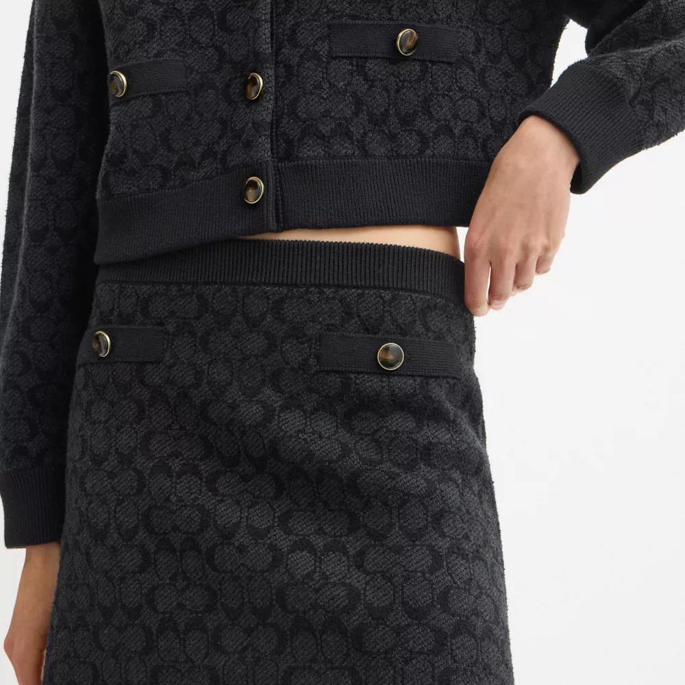Signature Knit Skirt Product Image