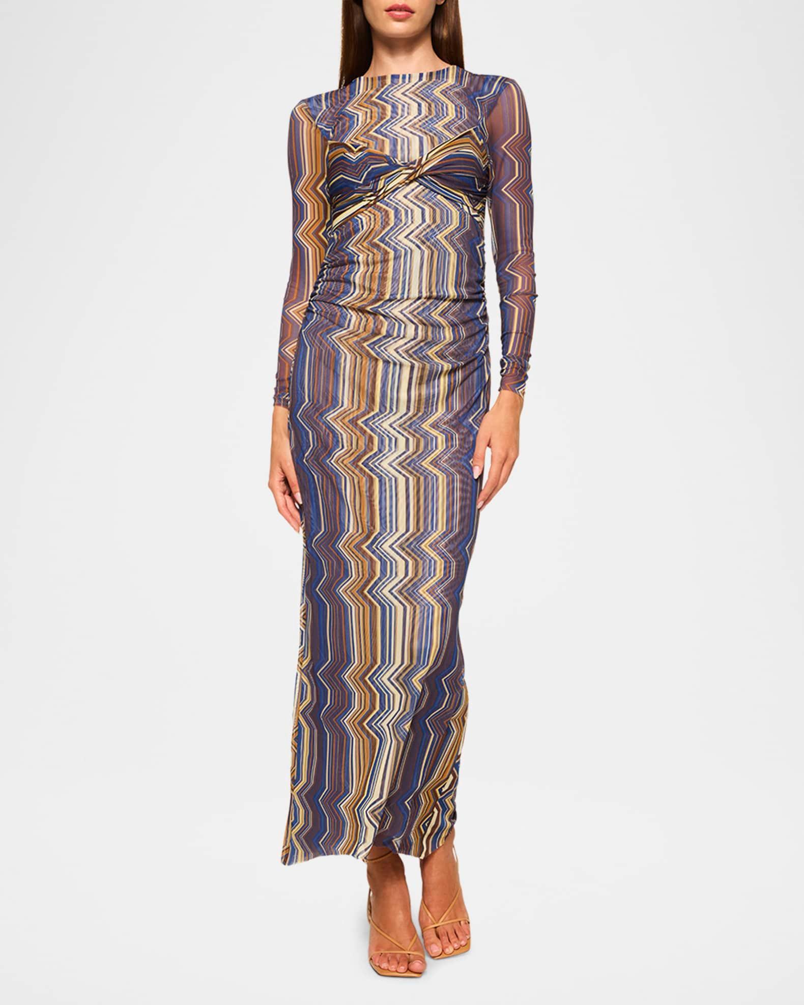 Idris Printed Mesh Maxi Dress Product Image