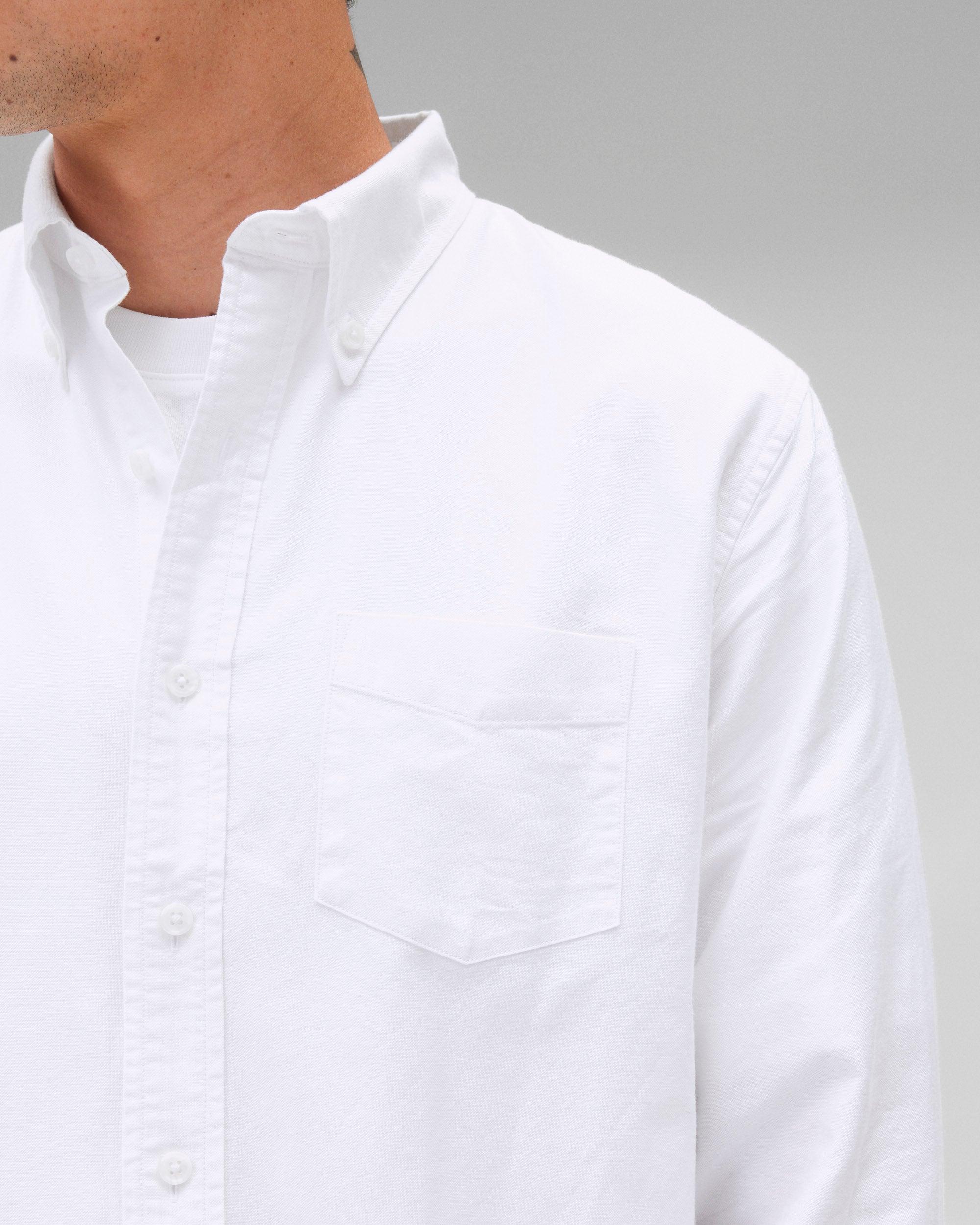 Cotton Oxford Windsor Standard Shirt Male Product Image
