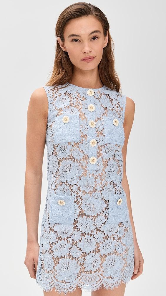 Self Portrait Blue Fine Lace Mini Dress | Shopbop Product Image