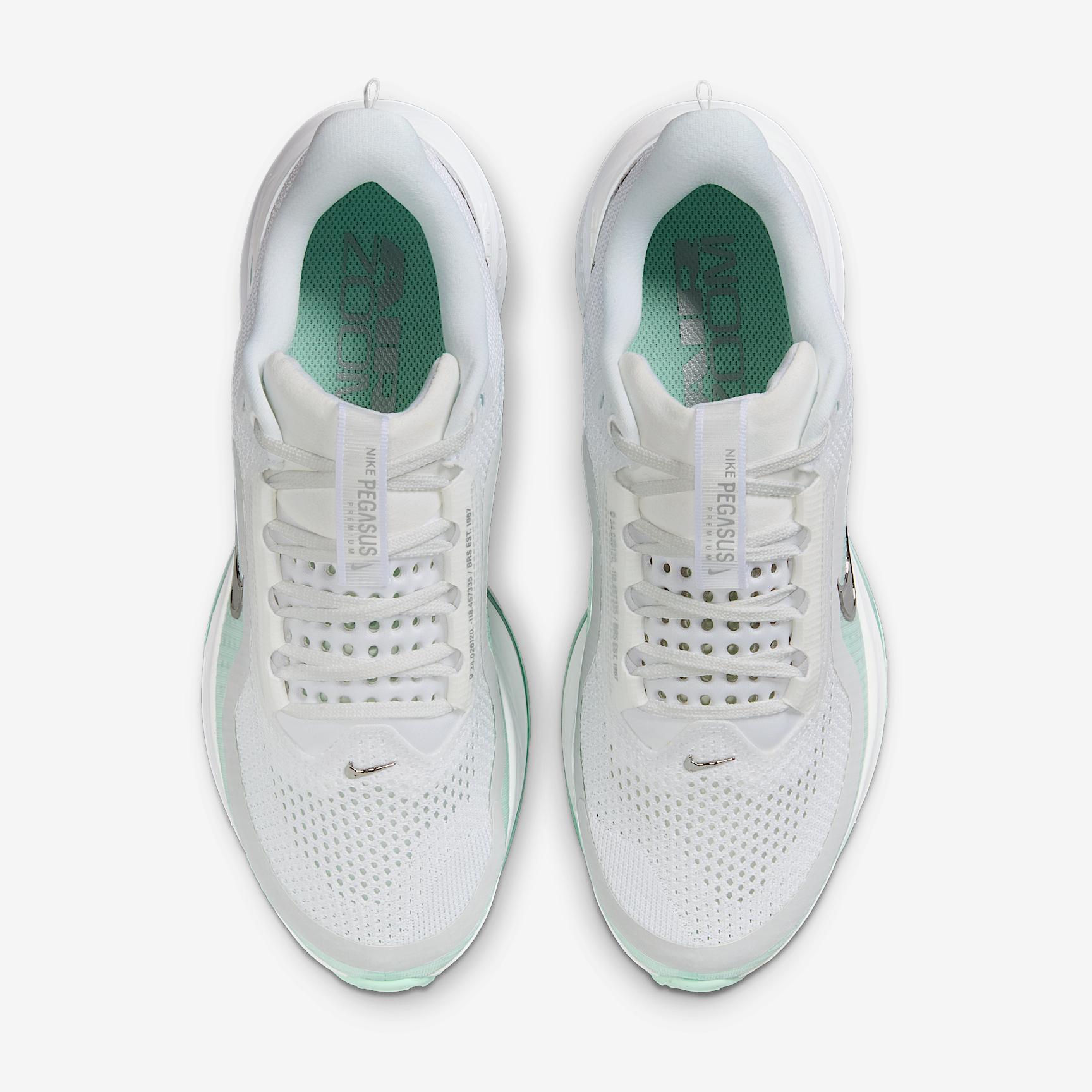 Nike Women's Pegasus Premium Road Running Shoes Product Image