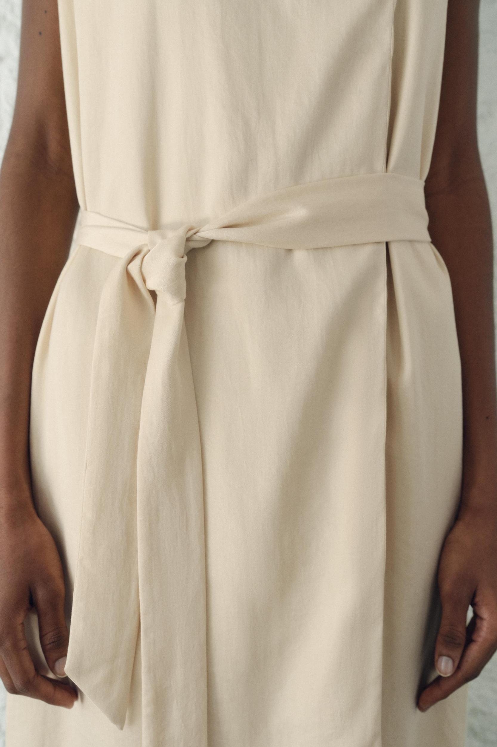 DRESS WITH PLEATED BACK ZW COLLECTION Product Image