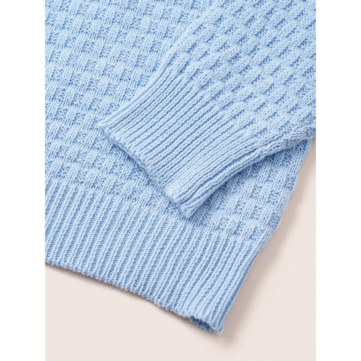 Plus Size Plain Texture Round Neck Elastic Cuffs Pullover LightBlue Women Basics Long Sleeve Round Neck Everyday Pullovers BloomChic 10/M Product Image