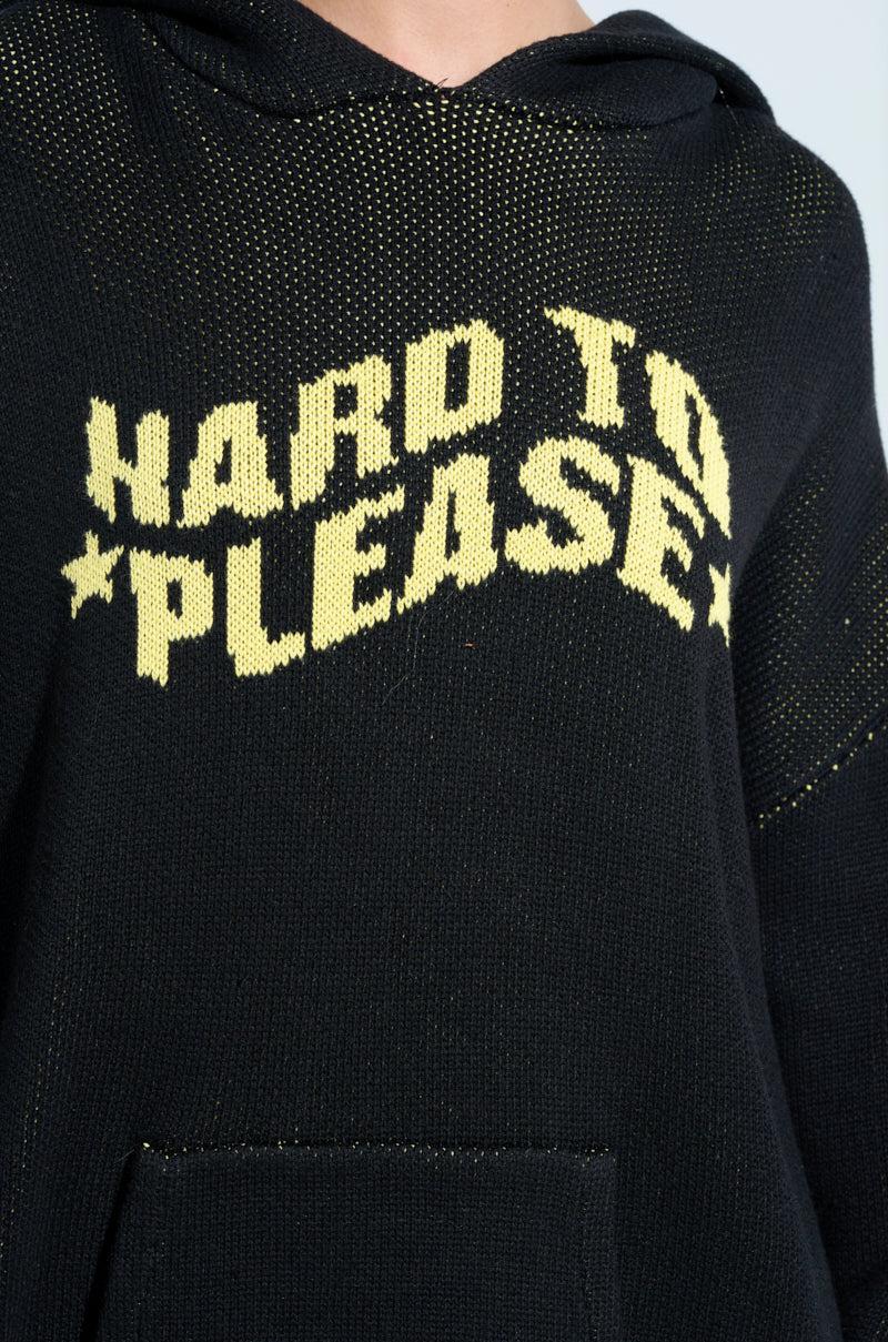 HARD TO PLEASE OVERSIZED HOODED SWEATER Product Image