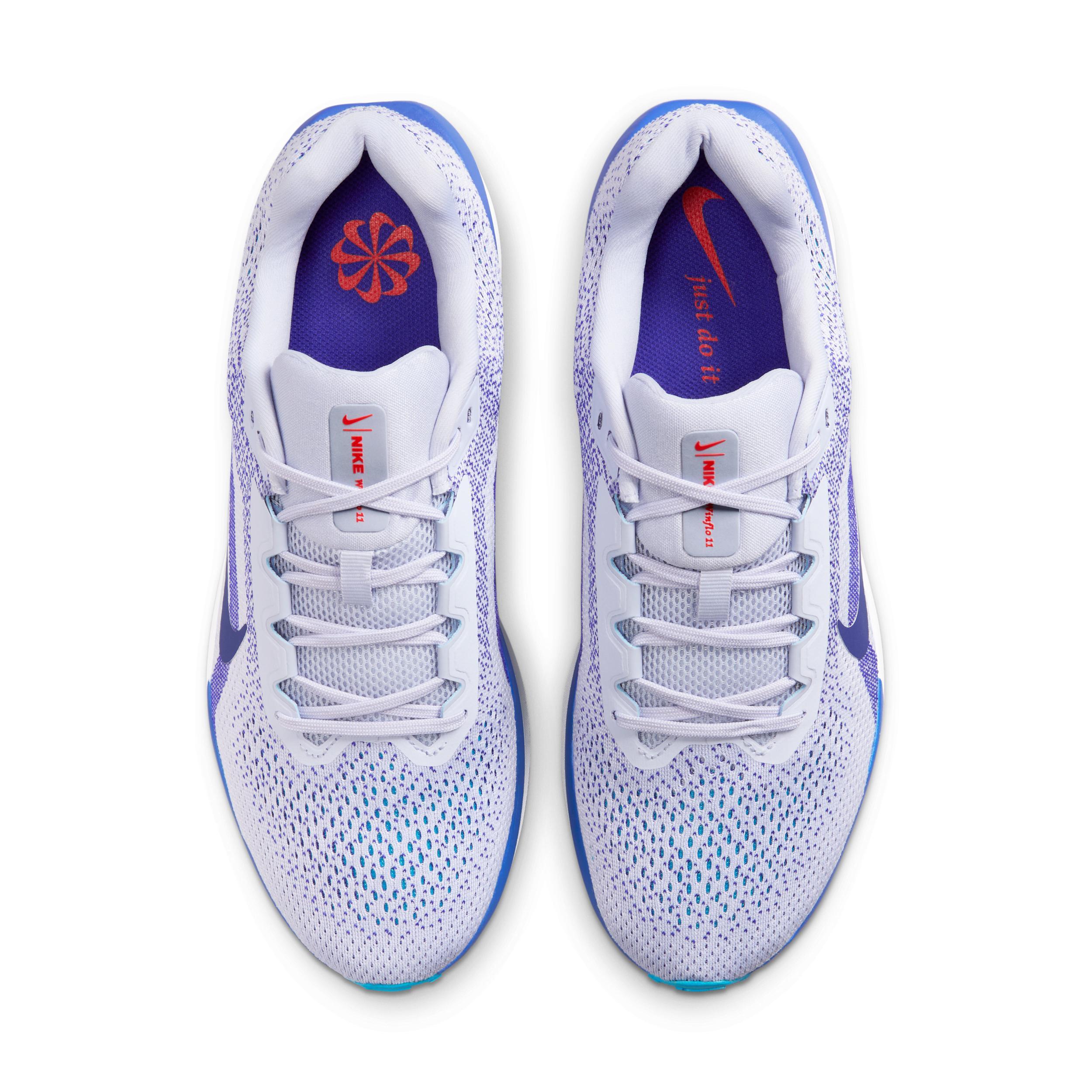 Nike Men's Winflo Road Running Shoes Product Image