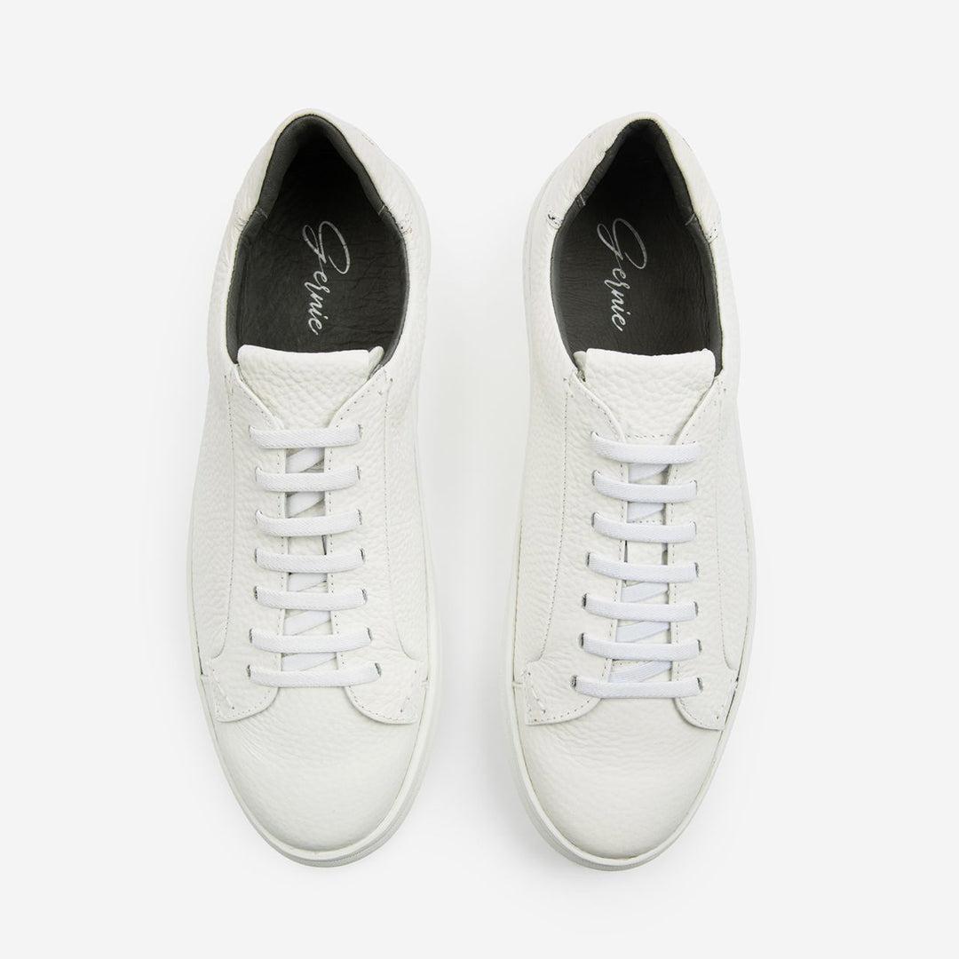 36's Laceless Low Top Product Image